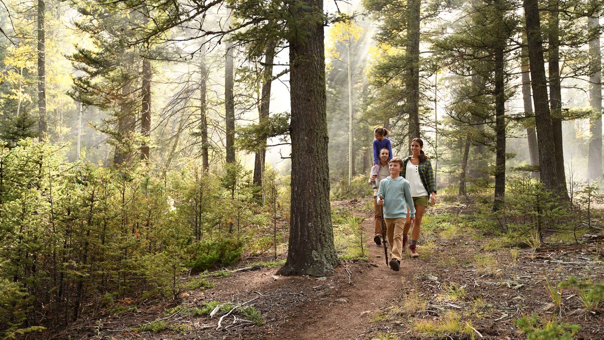 A Group Of People Walking Through A Forest